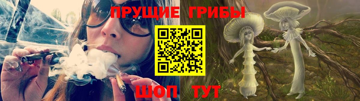 Псилоцибиновые грибы Psilocybe Альметьевск